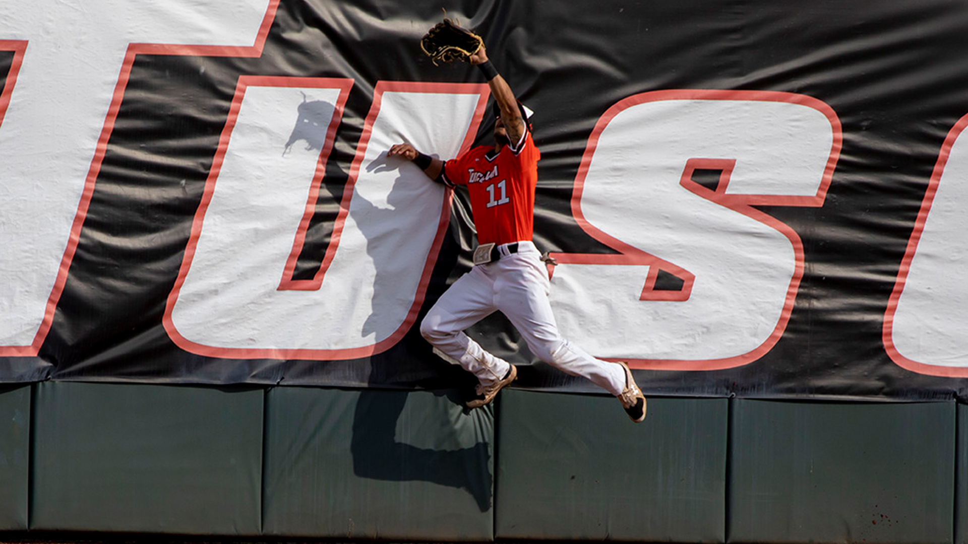 Baseball faces in-state foes Carson-Newman, LMU this week