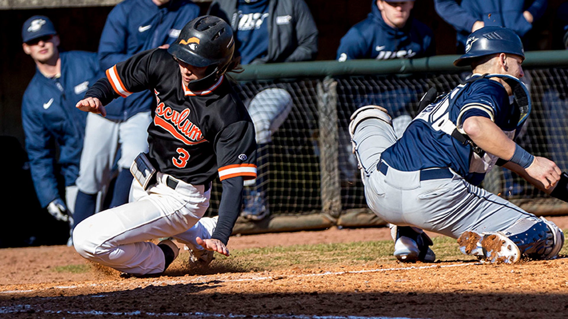 Pioneers host nationally-ranked Molloy this weekend