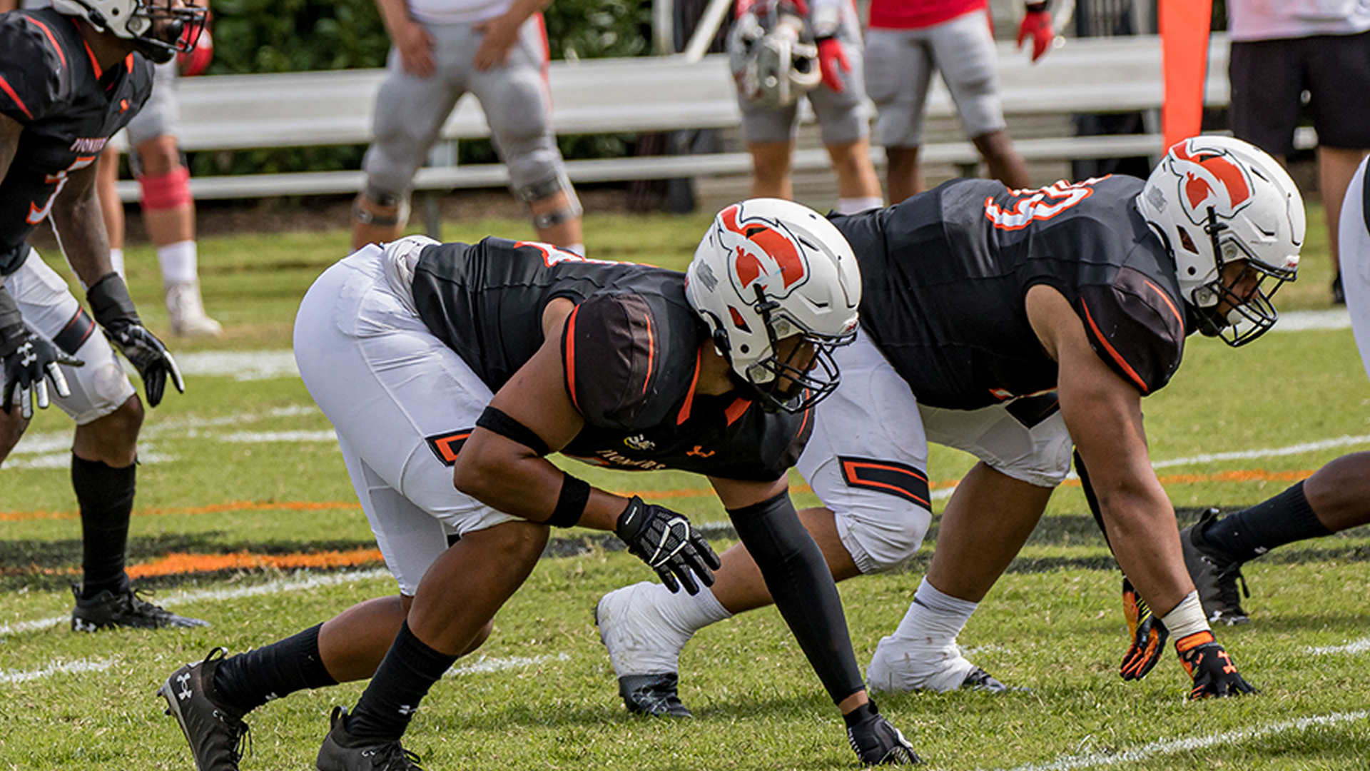 TU football hosts UVA Wise this Saturday at Pioneer Field