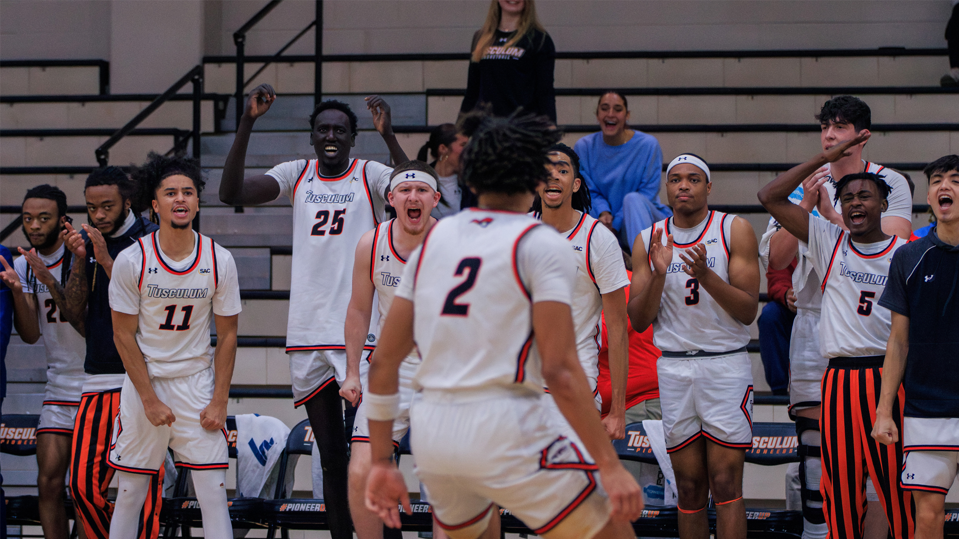The Tusculum bench celebrates following Bryce Jackson's go-ahead basket in the final minute as the Pioneers hold on for a 76-75 win over Catawba (photo by Kari Ham)