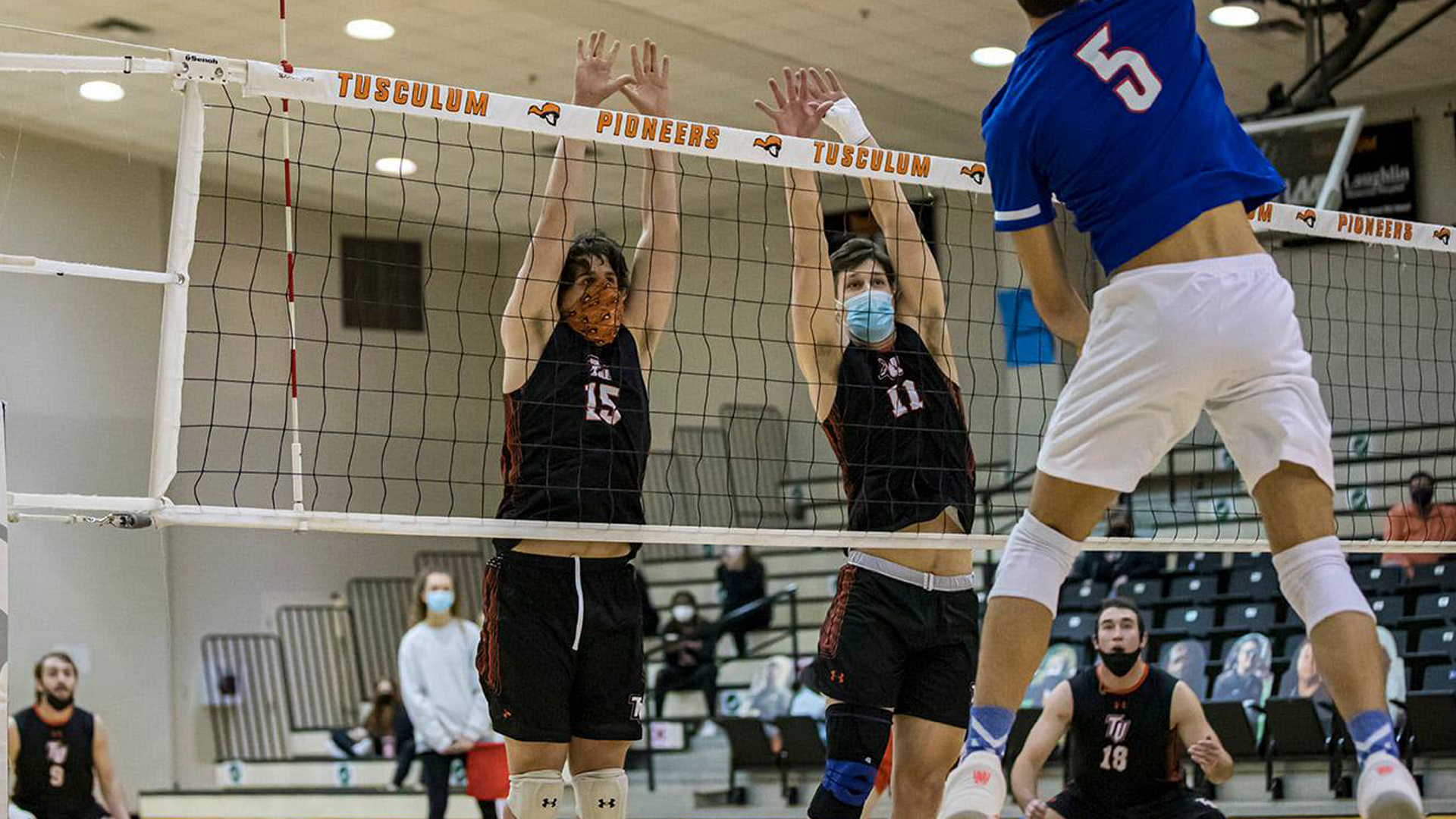 Men's Volleyball halves home tri-match