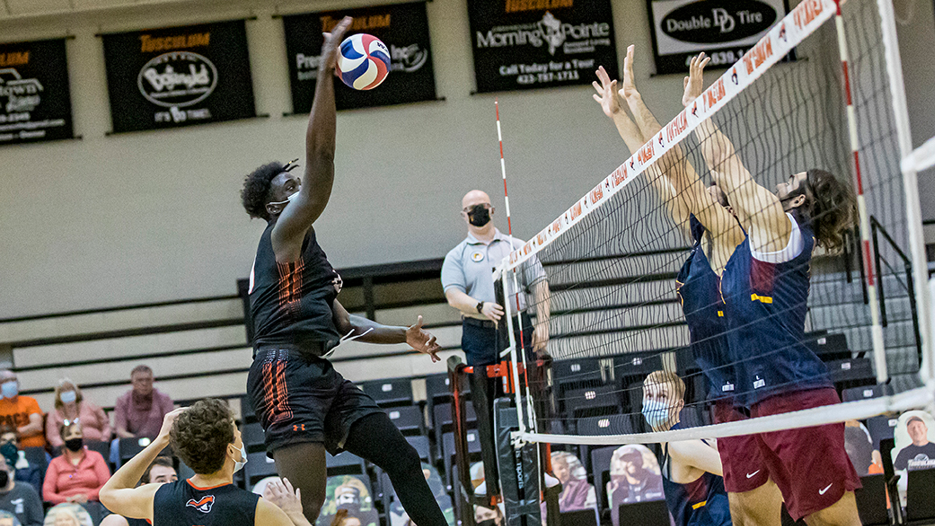 Pioneers beaten by Crusaders