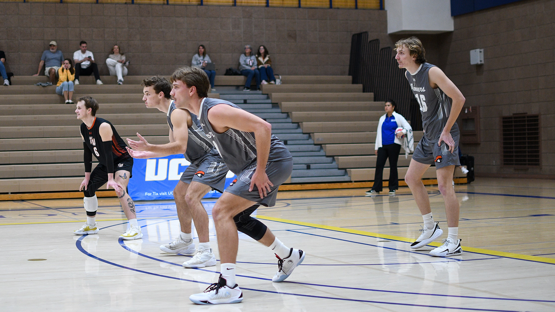 volleyball players on court