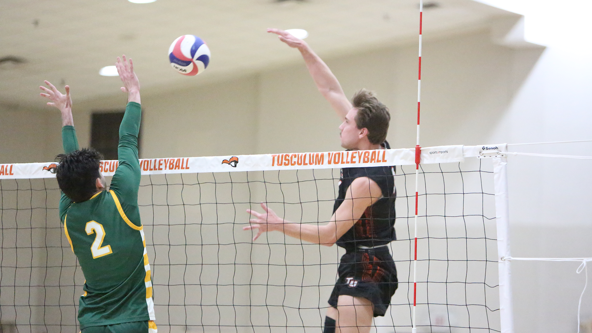 Tusculum wins sixth-straight over Lees-McRae