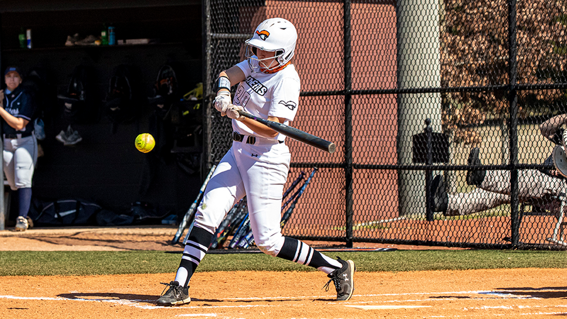 Softball splits opening series
