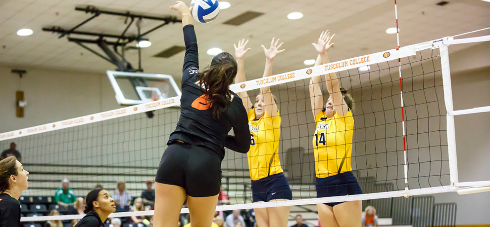 Coker shocks Tusculum in 3-0 sweep