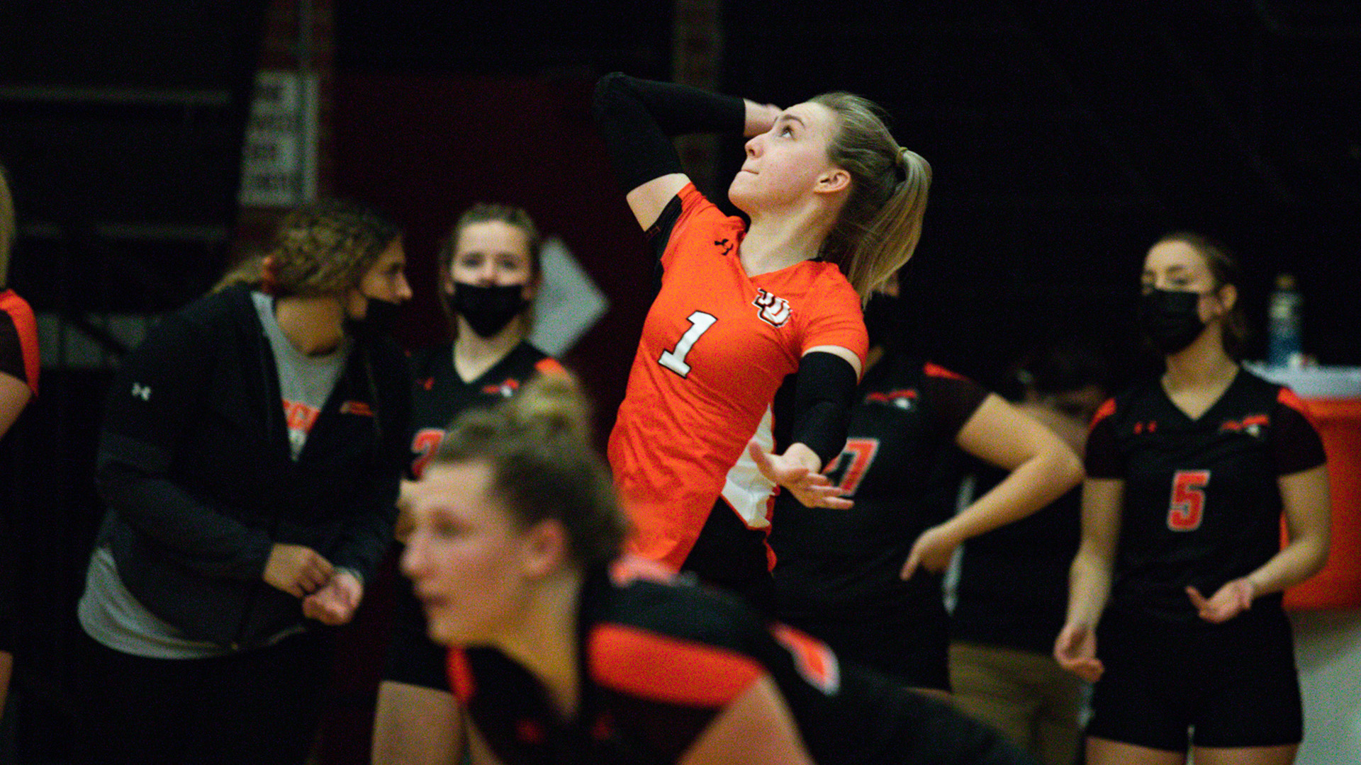 Photo by Lenoir-Rhyne Athletic Communications