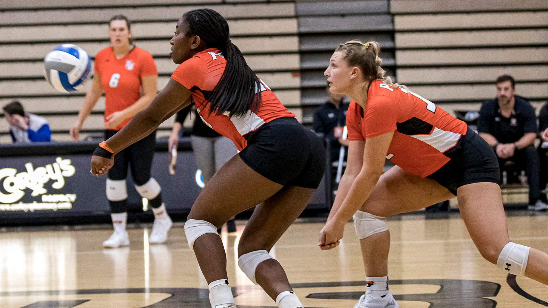 Volleyball flattens Cobras on the road
